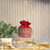 Gulab Red Potli
